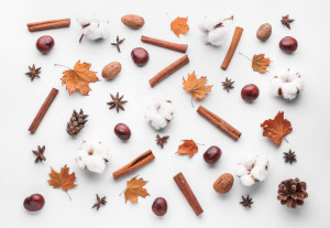 SÚŤAŽ na november: Prežite sychravú jeseň v kuchyni a vyhrajte lákavé ceny 