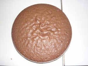 Krtkova Torta