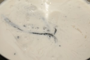 Vanilková tofu zmrzlina s rumovými hrozienkami (fotorecept) - obrázok 2