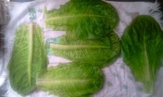 Rybie filé s hríbikami obalené v hlávkovom šaláte a lístkovom ceste (fotorecept) - obrázok 2