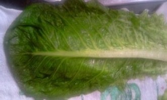 Rybie filé s hríbikami obalené v hlávkovom šaláte a lístkovom ceste (fotorecept) - obrázok 6