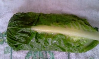 Rybie filé s hríbikami obalené v hlávkovom šaláte a lístkovom ceste (fotorecept) - obrázok 7