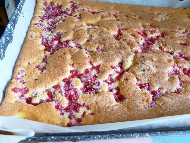 Koláč s ríbezľami (fotorecept) - obrázok 5