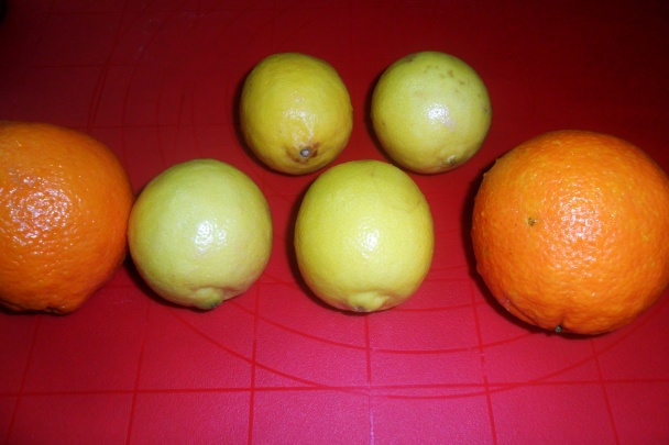Citrusové želé (fotorecept) - obrázok 1