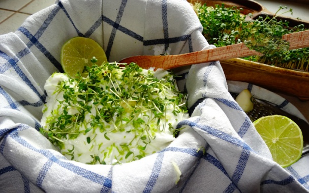 Labneh s limetkovou kůrou, česnekem a bylinkou (fotorecept) - obrázok 1