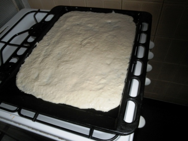 Bryndzový posúch (fotorecept) - obrázok 1