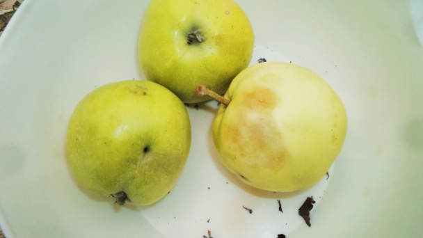 Džem z ružových lupeňov s levanduľou (fotorecept) - obrázok 6