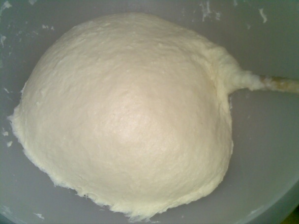 Šišky (fotorecept) - obrázok 1
