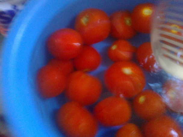Paradajky s bazalkou - polotovar na cestoviny - domáca - Polpa di pomodoro (fotorecept) - obrázok 4