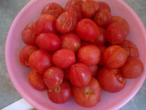 Paradajky s bazalkou - polotovar na cestoviny - domáca - Polpa di pomodoro (fotorecept) - obrázok 5