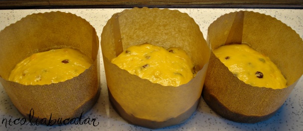 Formy na Panettone (fotorecept) - obrázok 9
