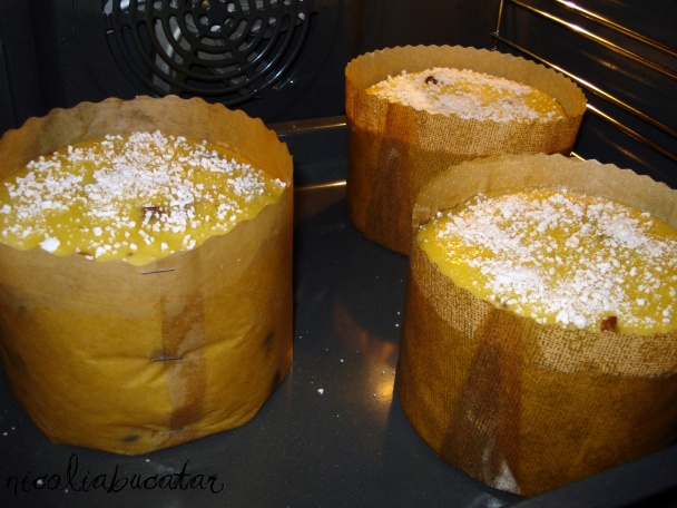Formy na Panettone (fotorecept) - obrázok 10