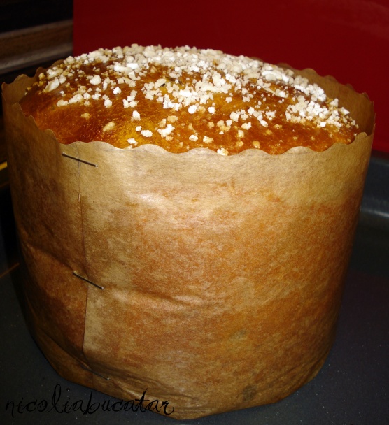 Formy na Panettone (fotorecept) - obrázok 11