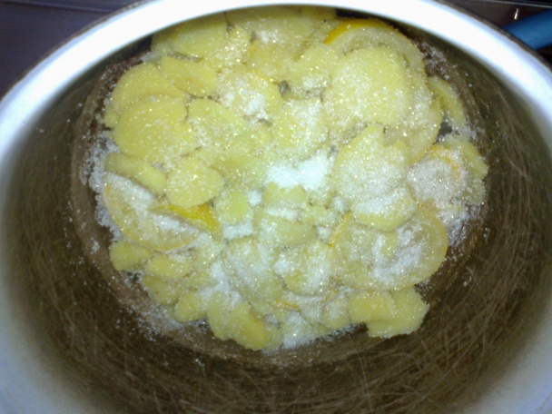Zázvorový sirup a kandizovaný zázvor (fotorecept) - obrázok 4