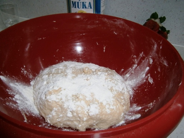 Osie hniezda plnené vanilkovým pudingom, horkou čokoládou a posypané orechami (fotorecept) - obrázok 1