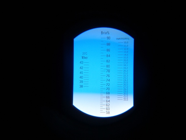 Recept na originálny javorový sirup (fotorecept) - obrázok 12