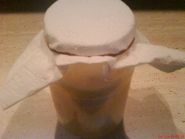 Starodávný domáci liek na kĺby a osteoporózu (fotorecept) - obrázok 6