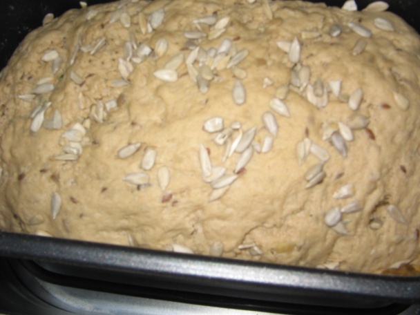 Môj prvý slnečnicový chlebík v domácej pekárničke (fotorecept) - obrázok 14