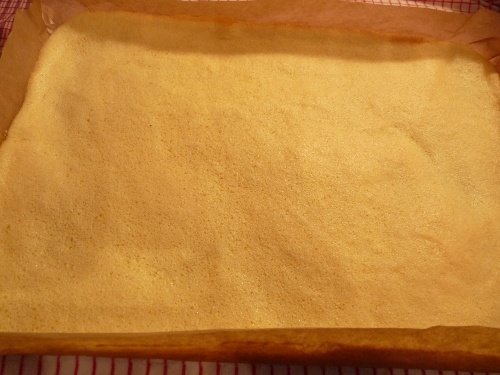 Trojfarebná roláda (fotorecept) - obrázok 10