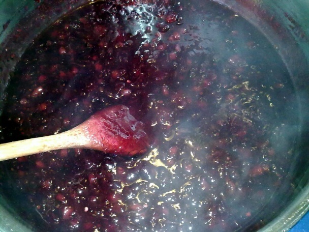 Ríbezľový chilli džem - obrázok 5