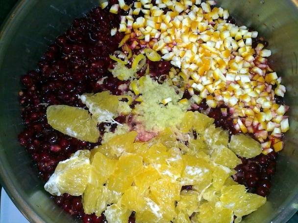 Ríbezľový chilli džem - obrázok 2