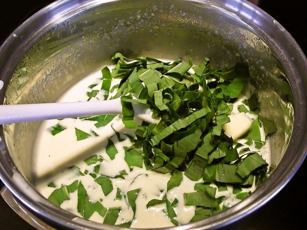 Medvedia syrová omáčka na špargľu, alebo cestoviny (fotorecept) - obrázok 2