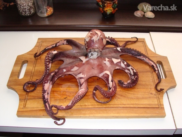 Vianočná chobotnica