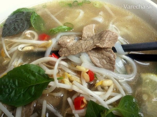 Pho Tai Vietnamsko - Francuzka hovädzia polievka  