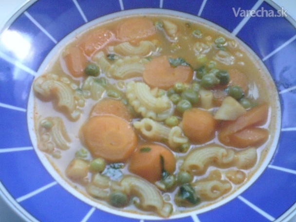 DIA zeleninová polievka s príchuťou exotiky