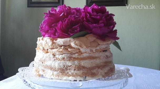 Pavlova torta (fotorecept)