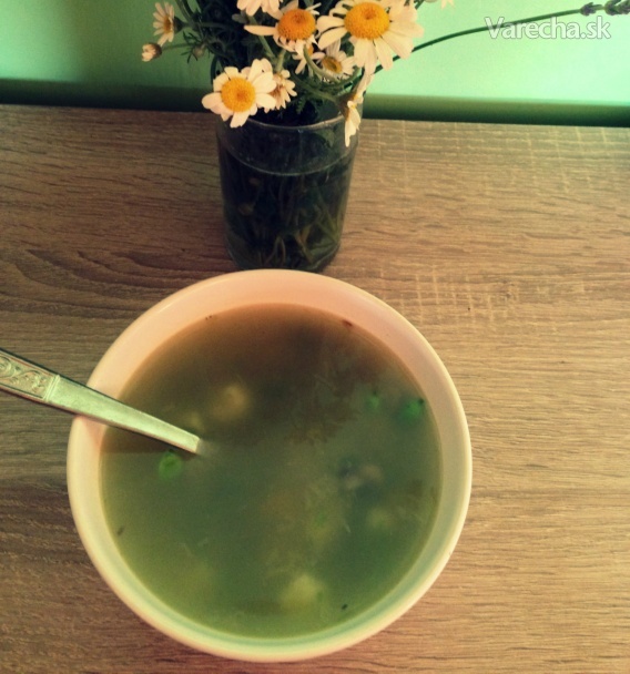 Výborná zeleninová polievka zo záhradky (fotorecept)
