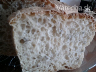 Chlieb s pivom a semienkami (fotorecept)