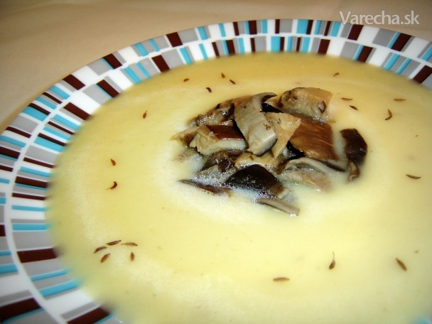 Kapustovico-hlivovica - krémová kapustová polievka s hlivou (fotorecept)  