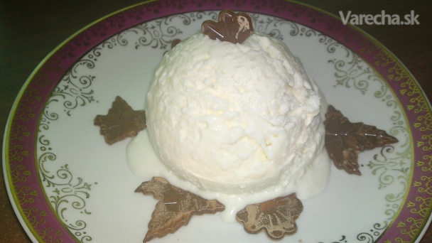 Domáca kokosová zmrzlina (fotorecept)