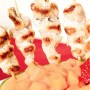 Kurací satay v žltom melóne