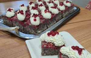 Chutná súhra: 11 šťavnatých ríbezľových koláčov, upečte si niečo sladké a osviežujúce zároveň