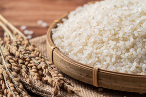 Spoznajte všetky druhy: Ktorá ryža je najzdravšia a ktorá vám pomôže schudnúť? 