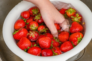 Užitočné rady: Na čo si dať pozor, aby ste si jahody užili v tip-top kvalite
