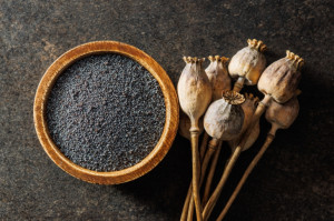 3x mak netradične: Vyskúšajte ho do slaných jedál aj šúľancov bez cukru