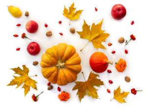 SÚŤAŽ na november: Hrajte o 3 nákupné poukážky v hodnote 20 eur, stačí pridať recept