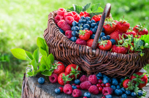 Odložte si dary leta: 3 tipy ako spracovať drobné ovocie do zásoby