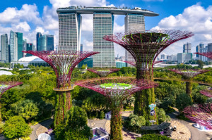 Gurmánske cesty: Ako chutí Singapur