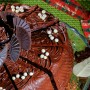 Bohatá čokoládová torta
