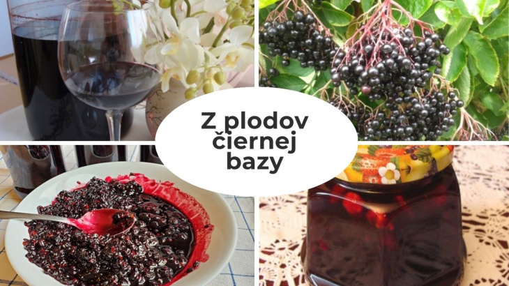 Domáce produkty z plodov čiernej bazy. Uvarte si lekvár, sirup či likér