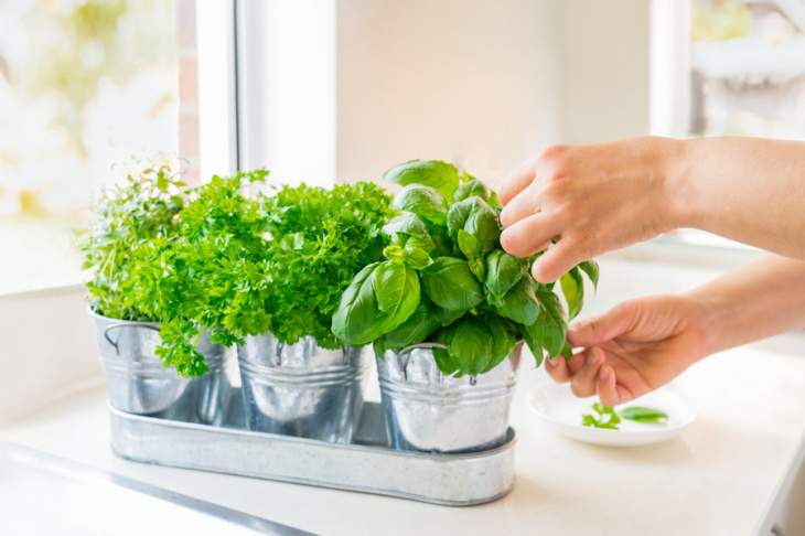 Nie je to jedno: Počas varenia alebo až do hotového pokrmu? Viete, kedy pridať bylinky do jedla?