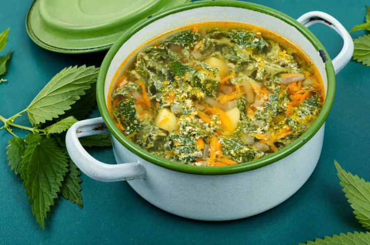 Tieto byliny rastú skôr než prvá zelenina v záhradke. Poradíme vám, ako ich využiť v kuchyni 