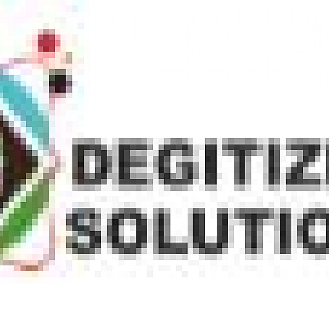 degitizeritsolution