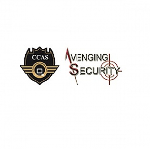 avengingseo