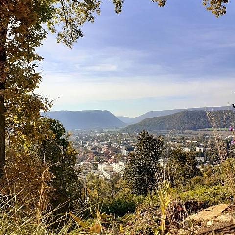 svomika