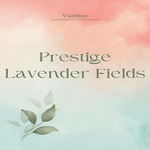 prestigelavender